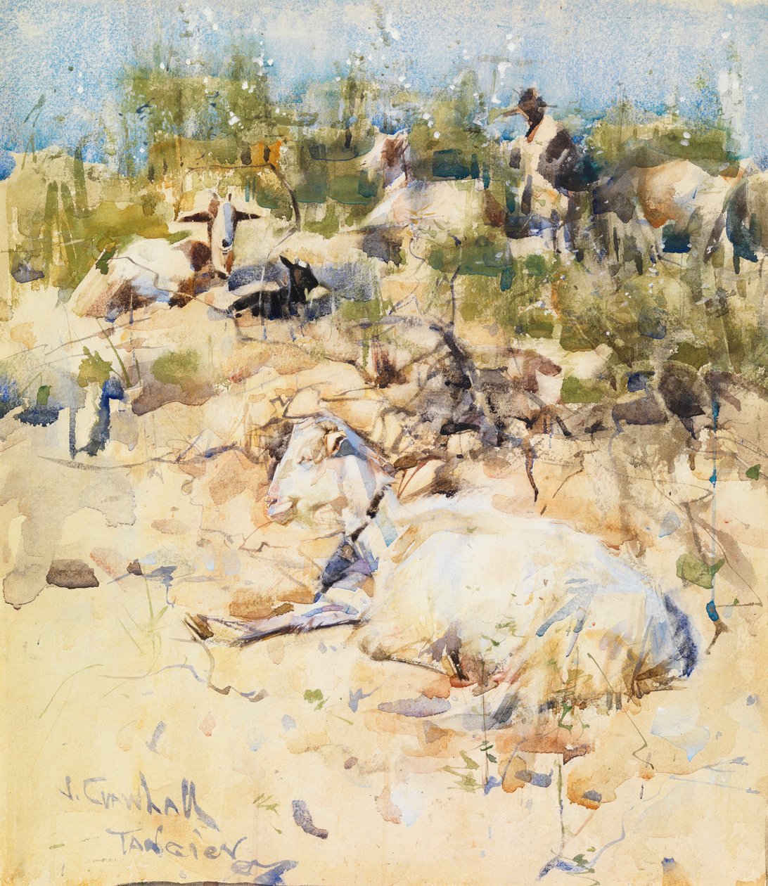 Cabras numa encosta, Tânger (aguarela com toques de guache sobre papel) de Joseph Crawhall