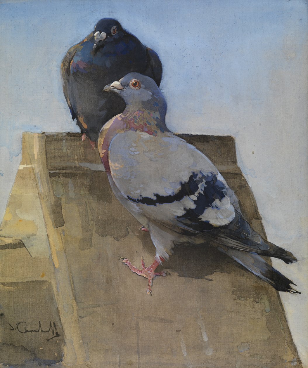 Pombos no telhado (guache sobre linho) de Joseph Crawhall