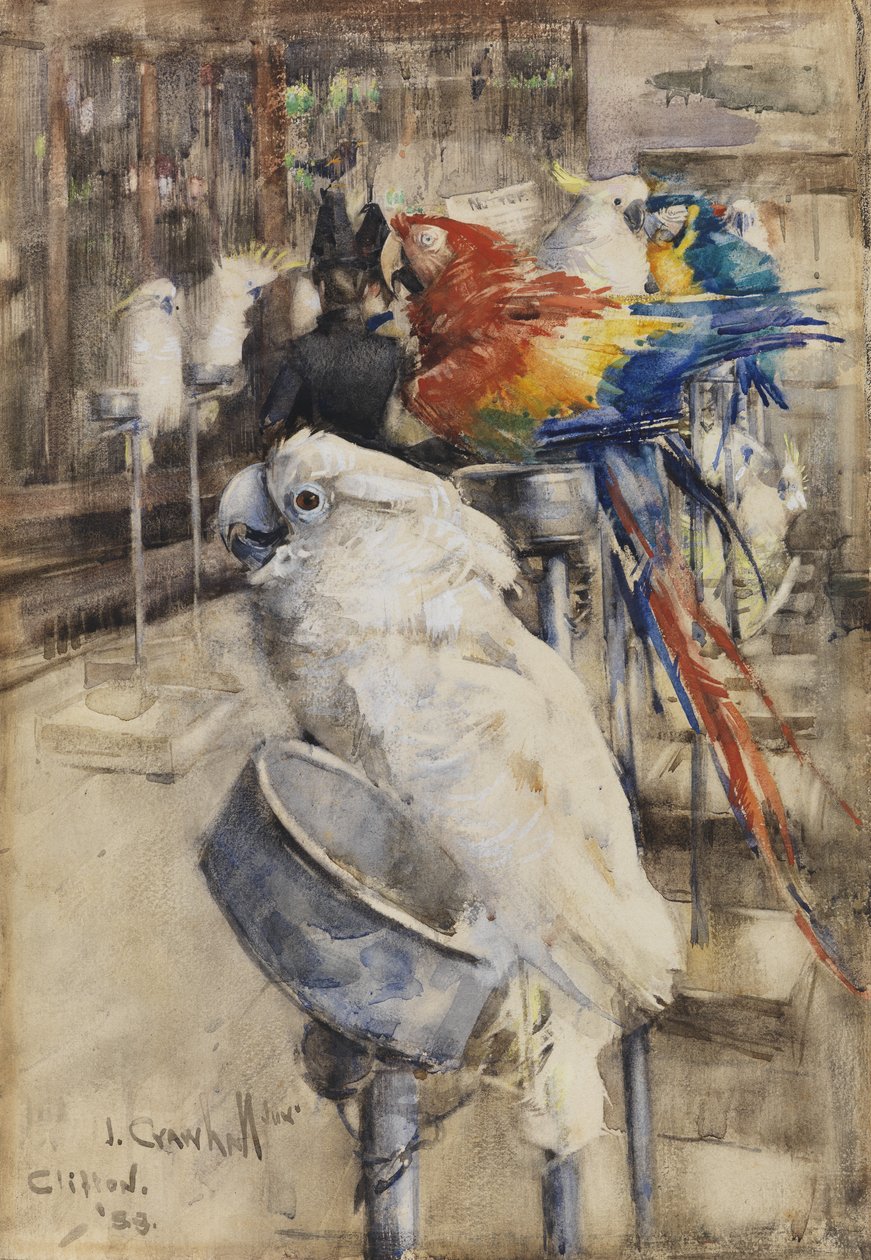 O Aviário, Clifton de Joseph Crawhall