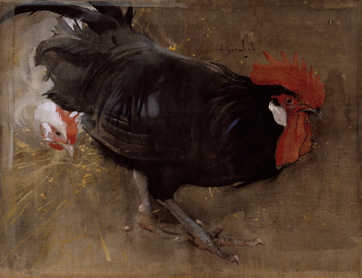 O galo preto (guache sobre linho) de Joseph Crawhall
