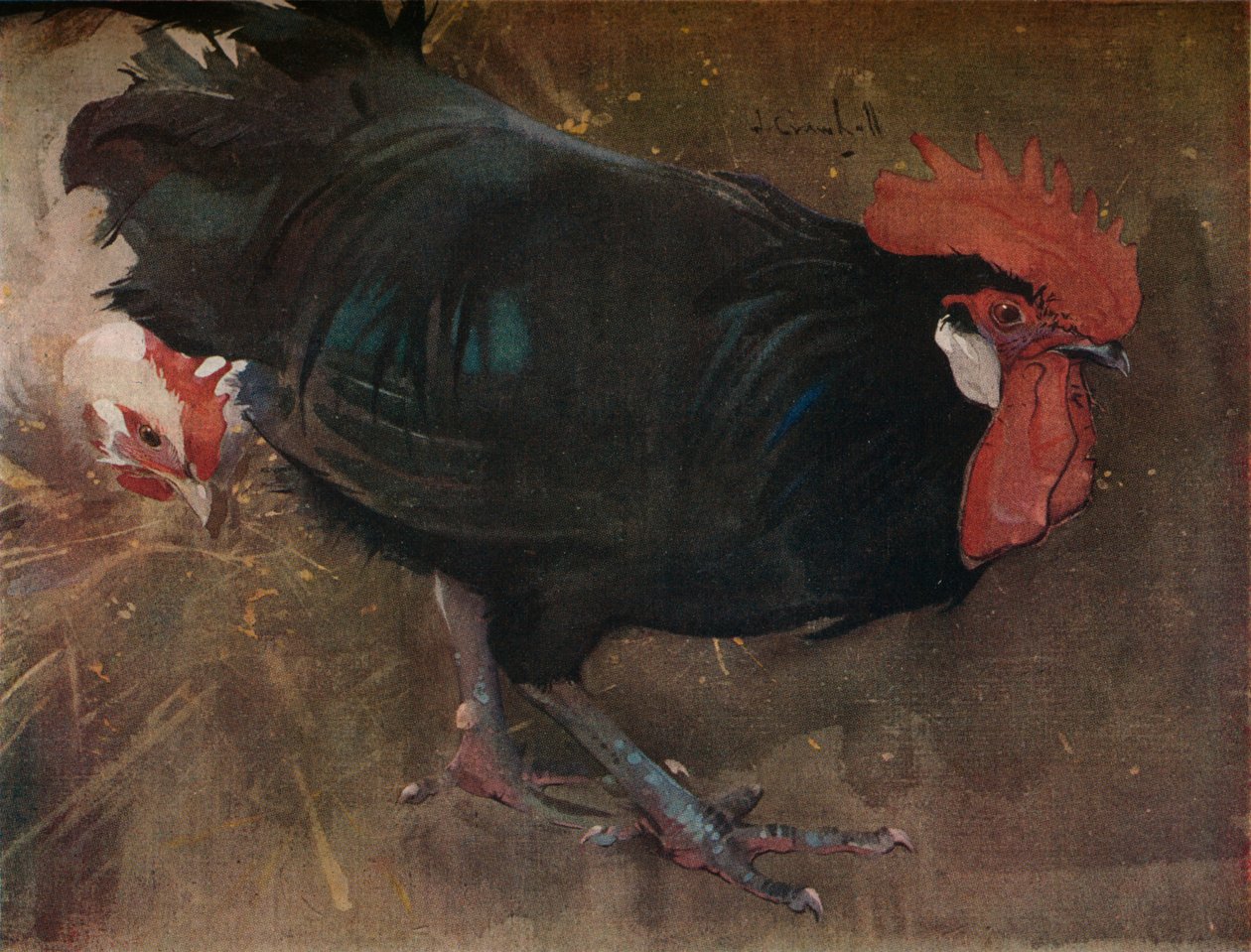 O Galo Negro, c1894 de Joseph Crawhall