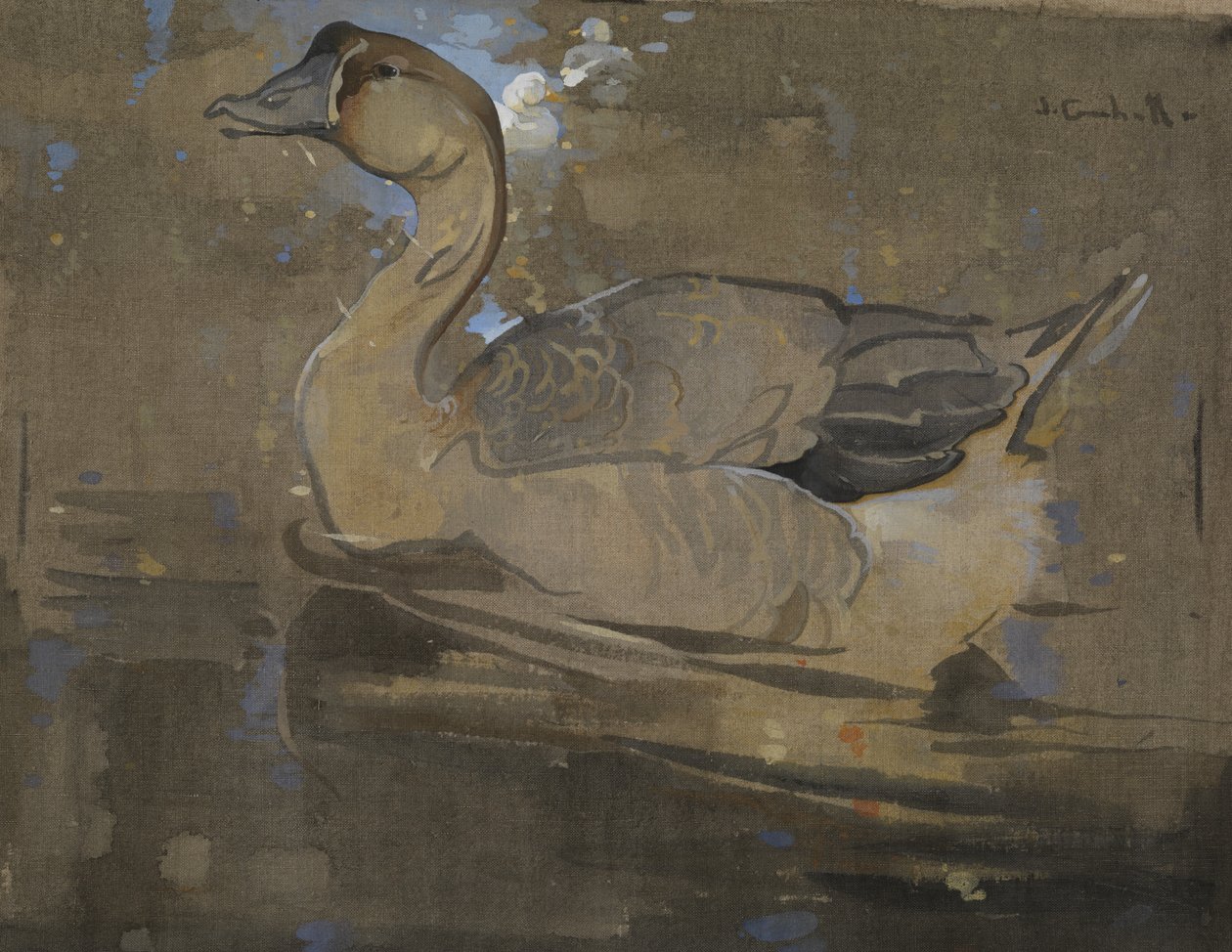 O ganso chinês (guache sobre linho) de Joseph Crawhall