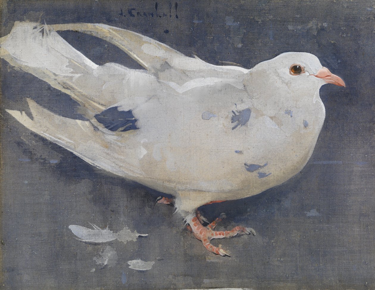 O Pombo (guache sobre linho) de Joseph Crawhall