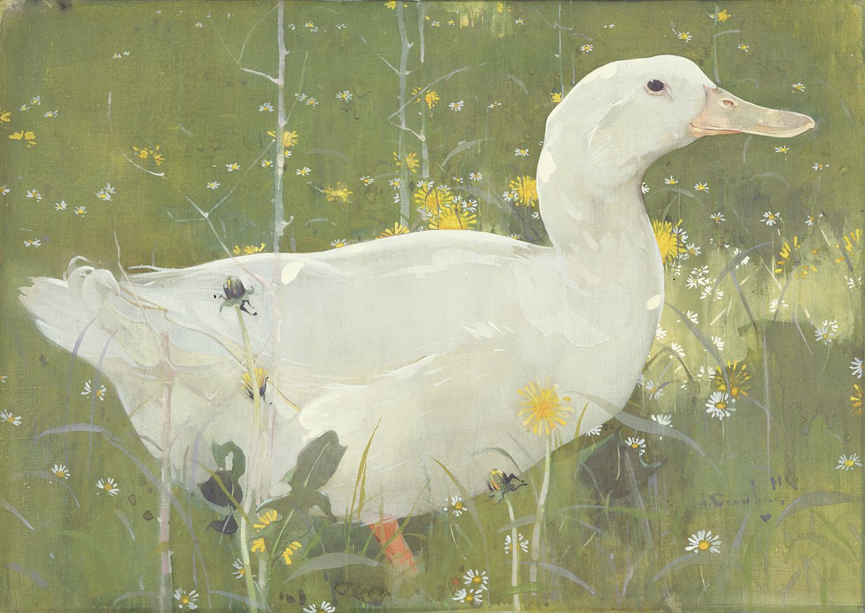 O Drake Branco (guache sobre tela) de Joseph Crawhall