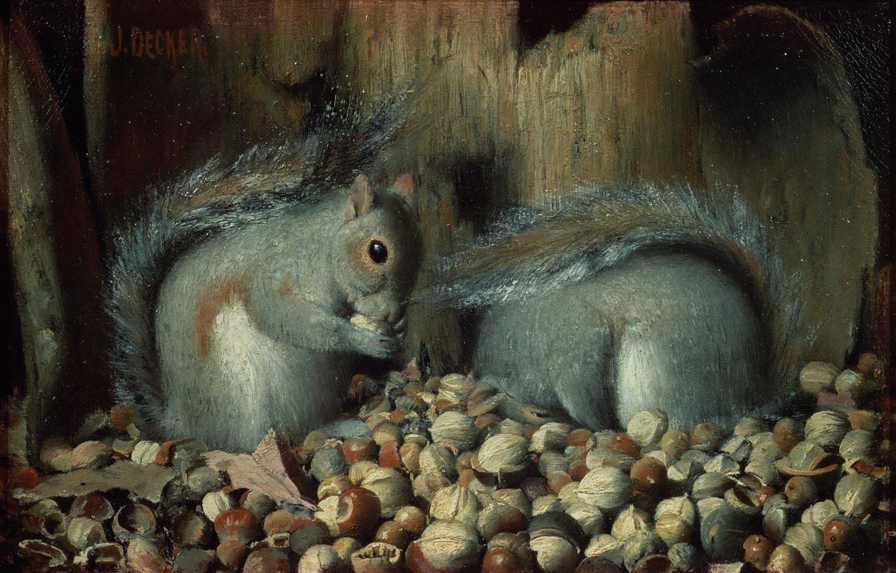 Os glutões (esquilos) de Joseph Decker