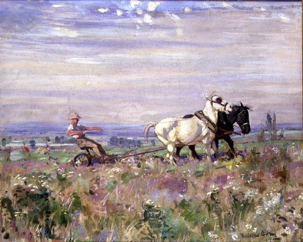 A Equipe Arado de Joseph Denovan II Adam
