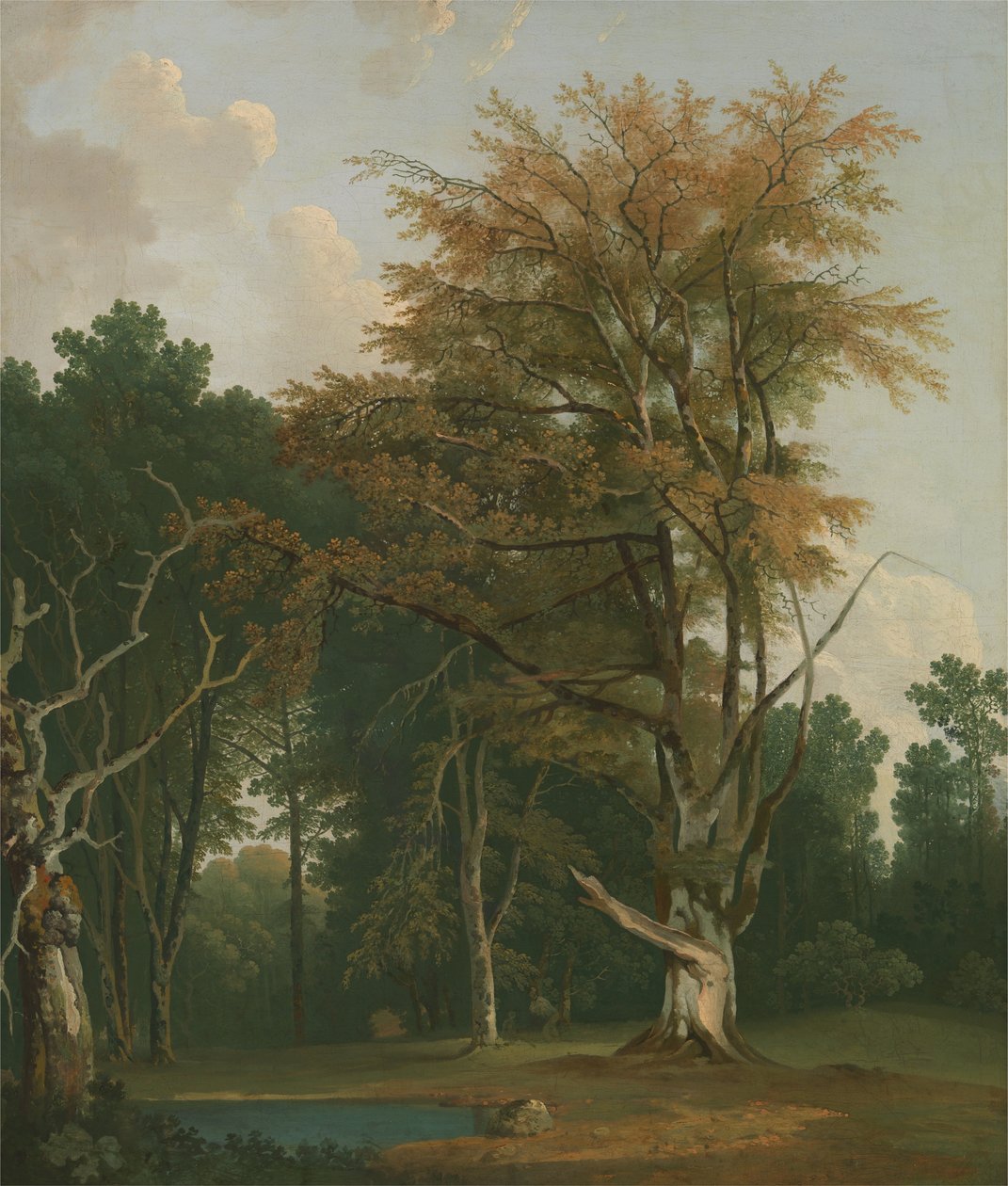 Árvores numa clareira de floresta de Joseph Farington