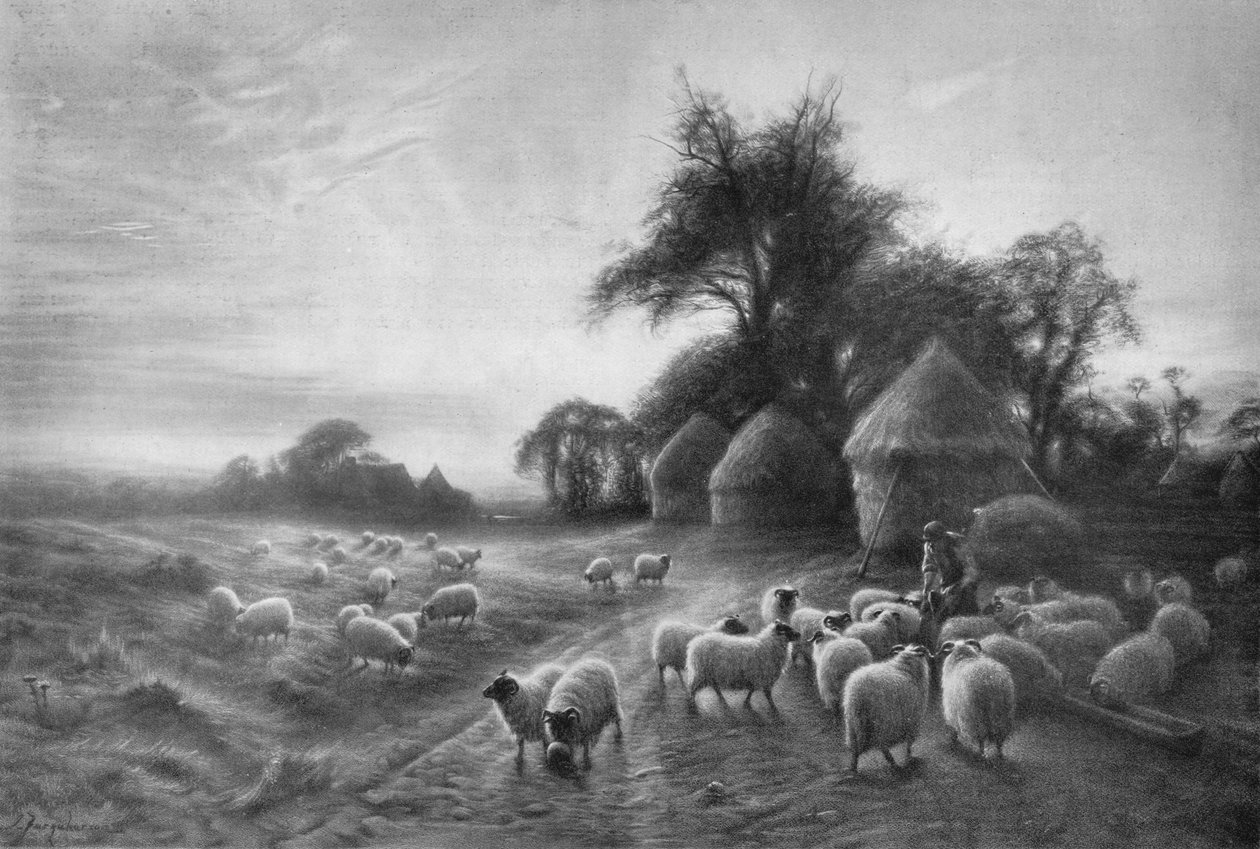 Alimentação de ovinos, c1890, 1911 de Joseph Farquharson