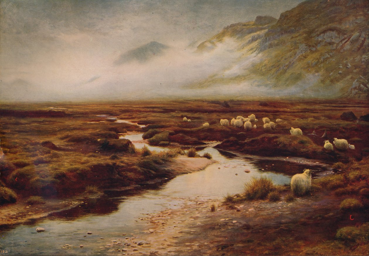 O musgo em Poolewe, 1913, c1915 de Joseph Farquharson