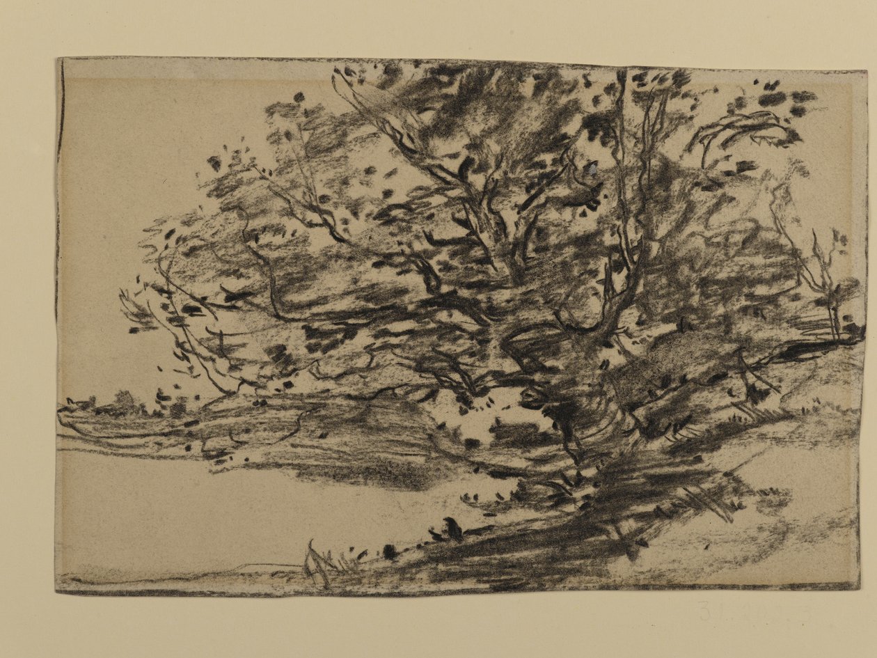 Estudo de Árvores, 1870 (grafite sobre papel) de Joseph Frank Currier