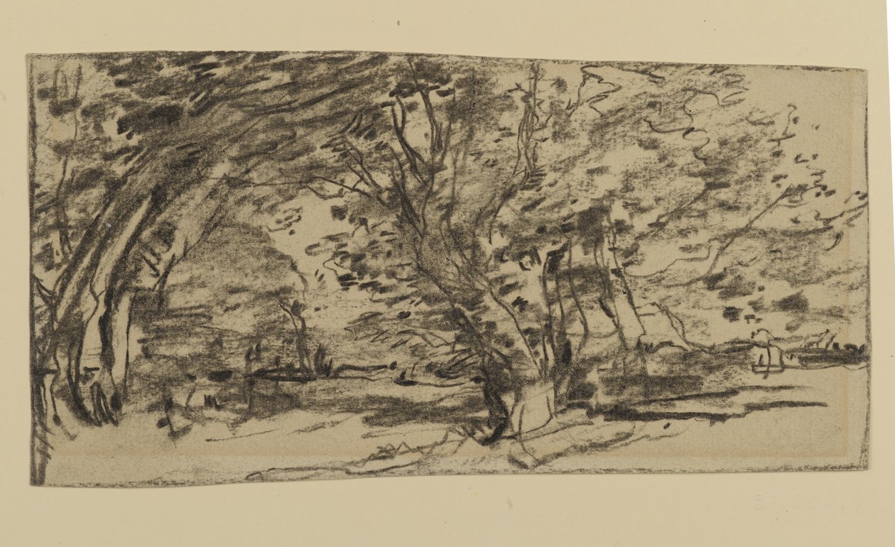 Estudo de Árvores, 1870 (grafite sobre papel) de Joseph Frank Currier