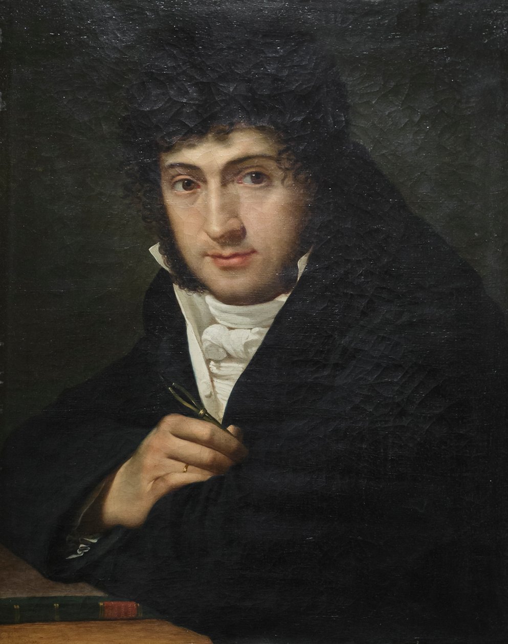 Retrato de Pelagio Palagi, Joseph François Ducq (óleo sobre tela) de Joseph François Ducq