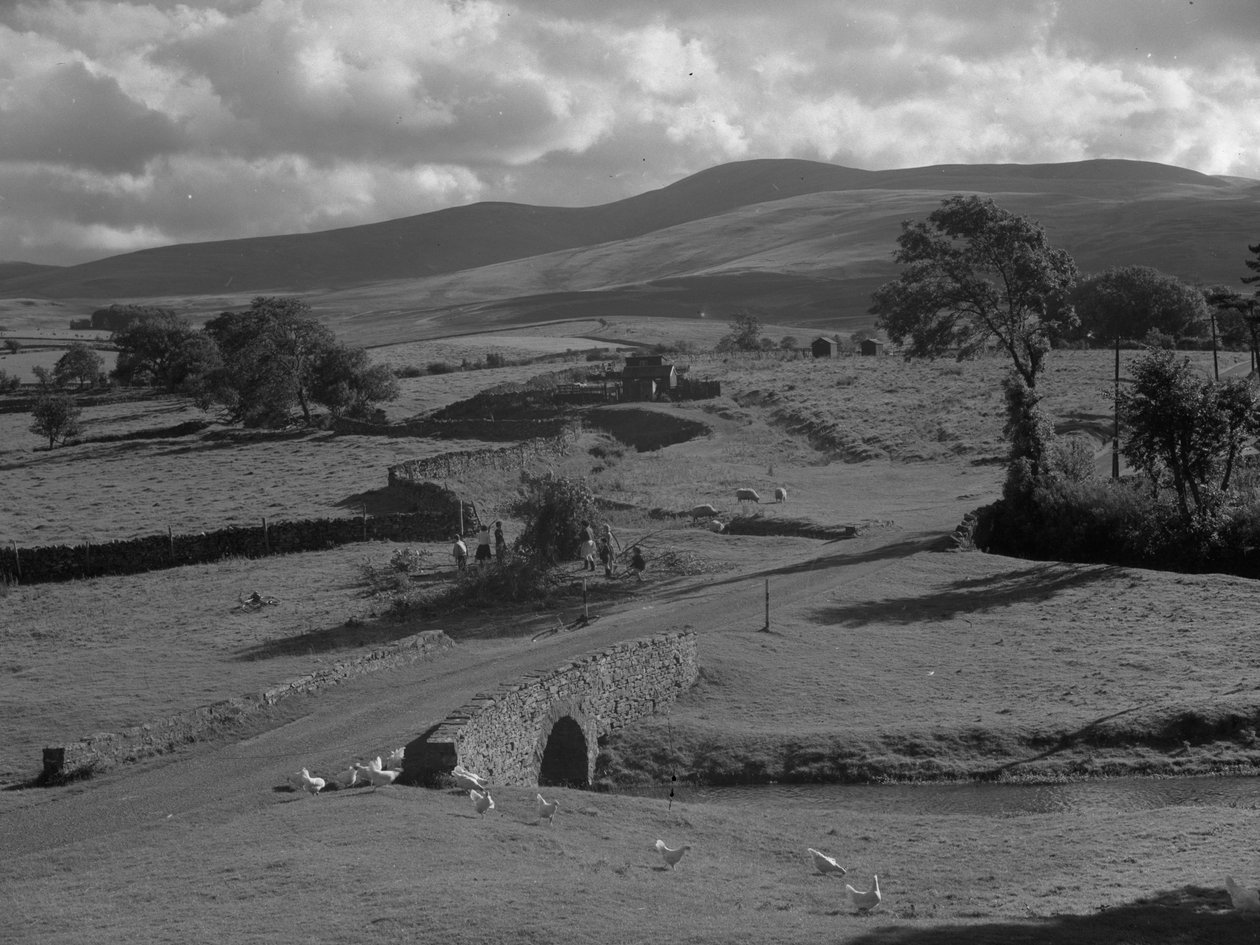 Um grupo de crianças recolhe uma grande pilha de ramos de árvores na berma de uma estrada, com galinhas em primeiro plano de Joseph Hardman