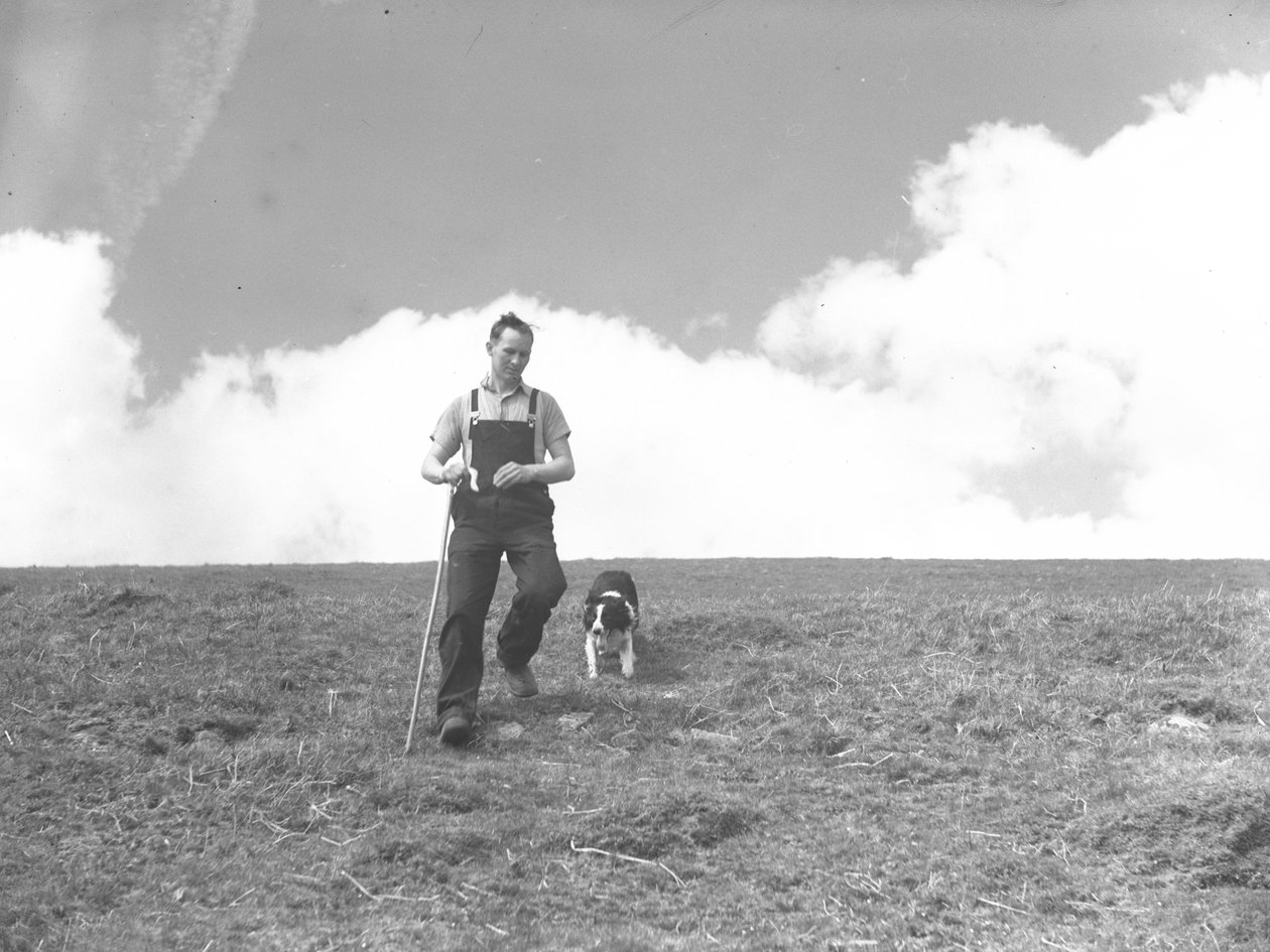 Um homem e o seu cão pastor a passear em Martindale de Joseph Hardman