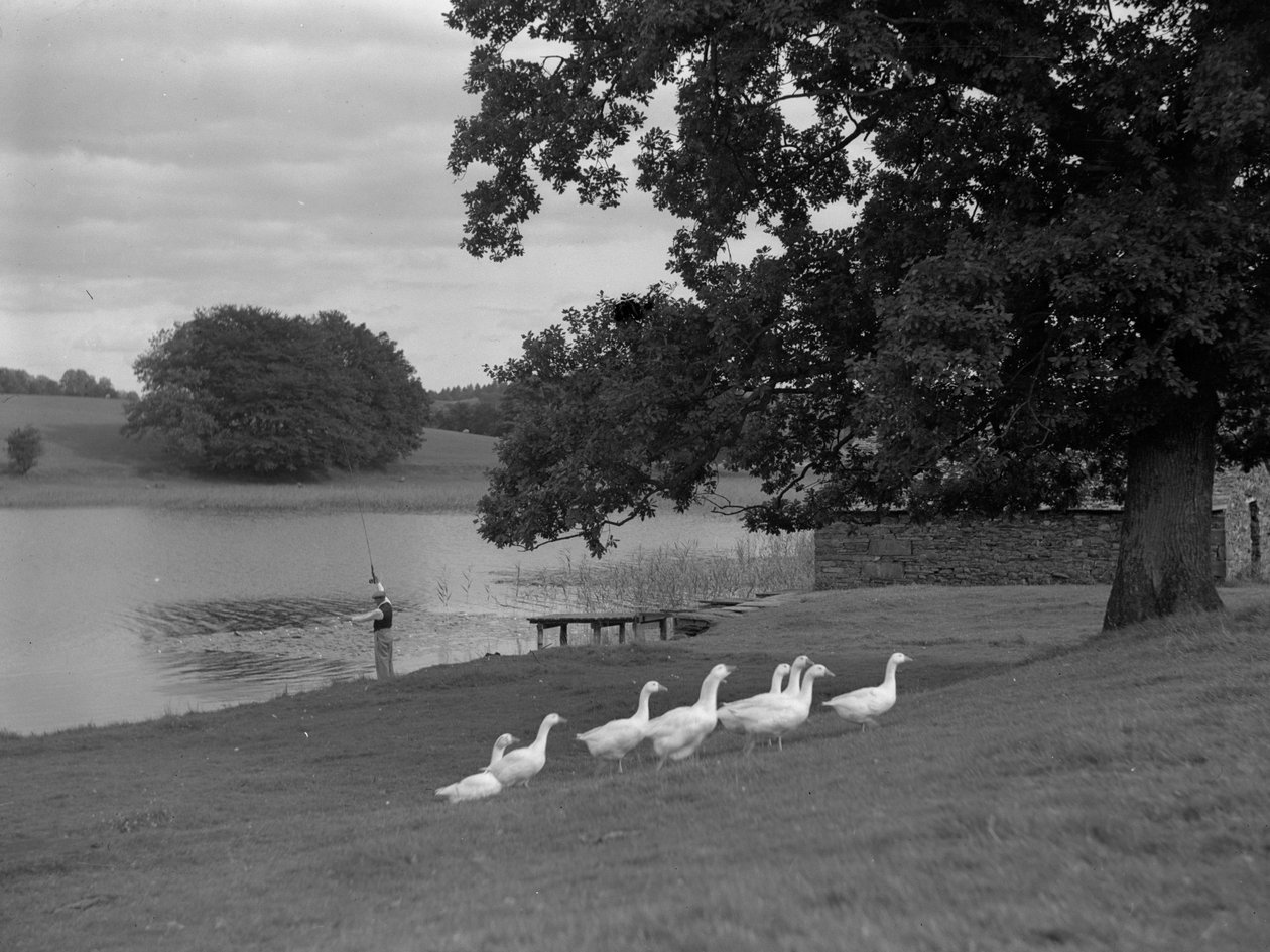 Um homem de pé num banco de relva junto a um lago a pescar, com um bando de gansos em primeiro plano de Joseph Hardman