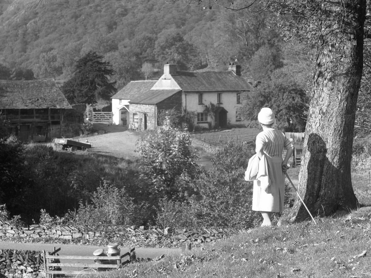 Uma mulher está junto a uma árvore, de costas para a câmara, olhando para a Yew Tree Farm de Joseph Hardman
