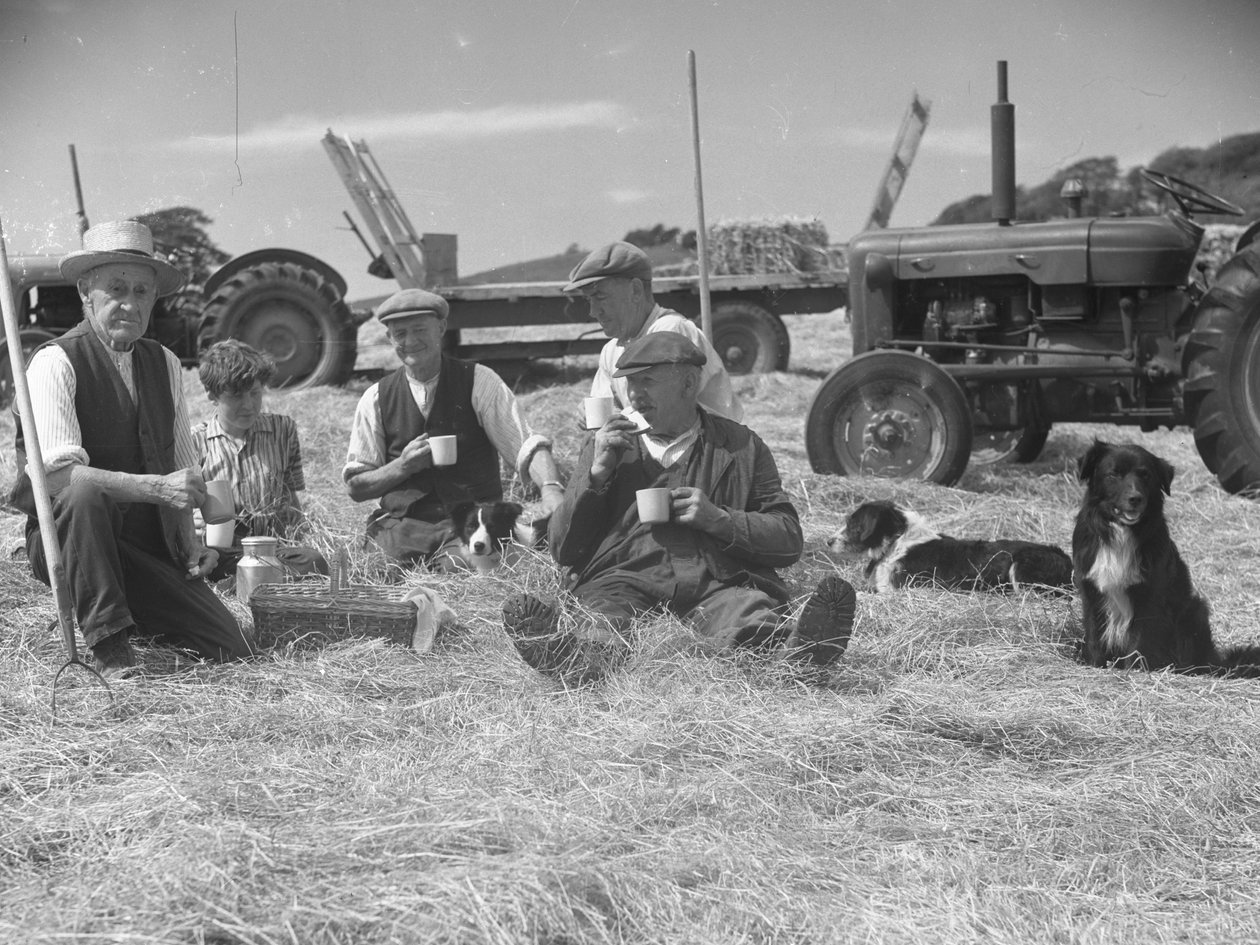 Trabalhadores agrícolas descontraídos num campo de feno com cães e tractores em fundo de Joseph Hardman