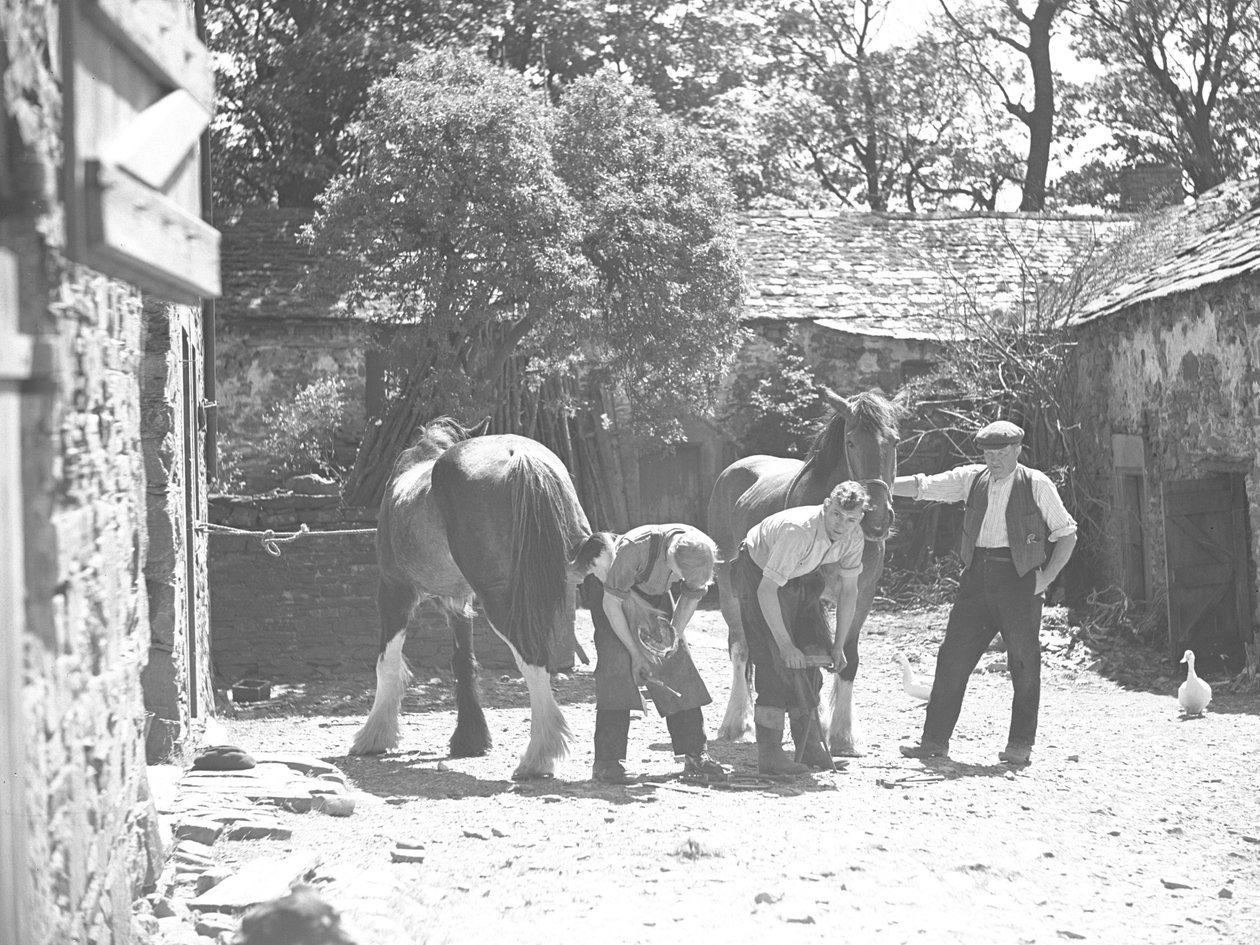 Ferrador a ferrar cavalos de Joseph Hardman
