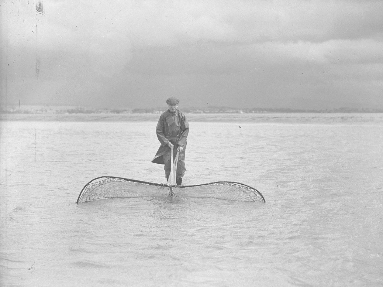 Pescador com uma grande rede em águas pouco profundas de Joseph Hardman