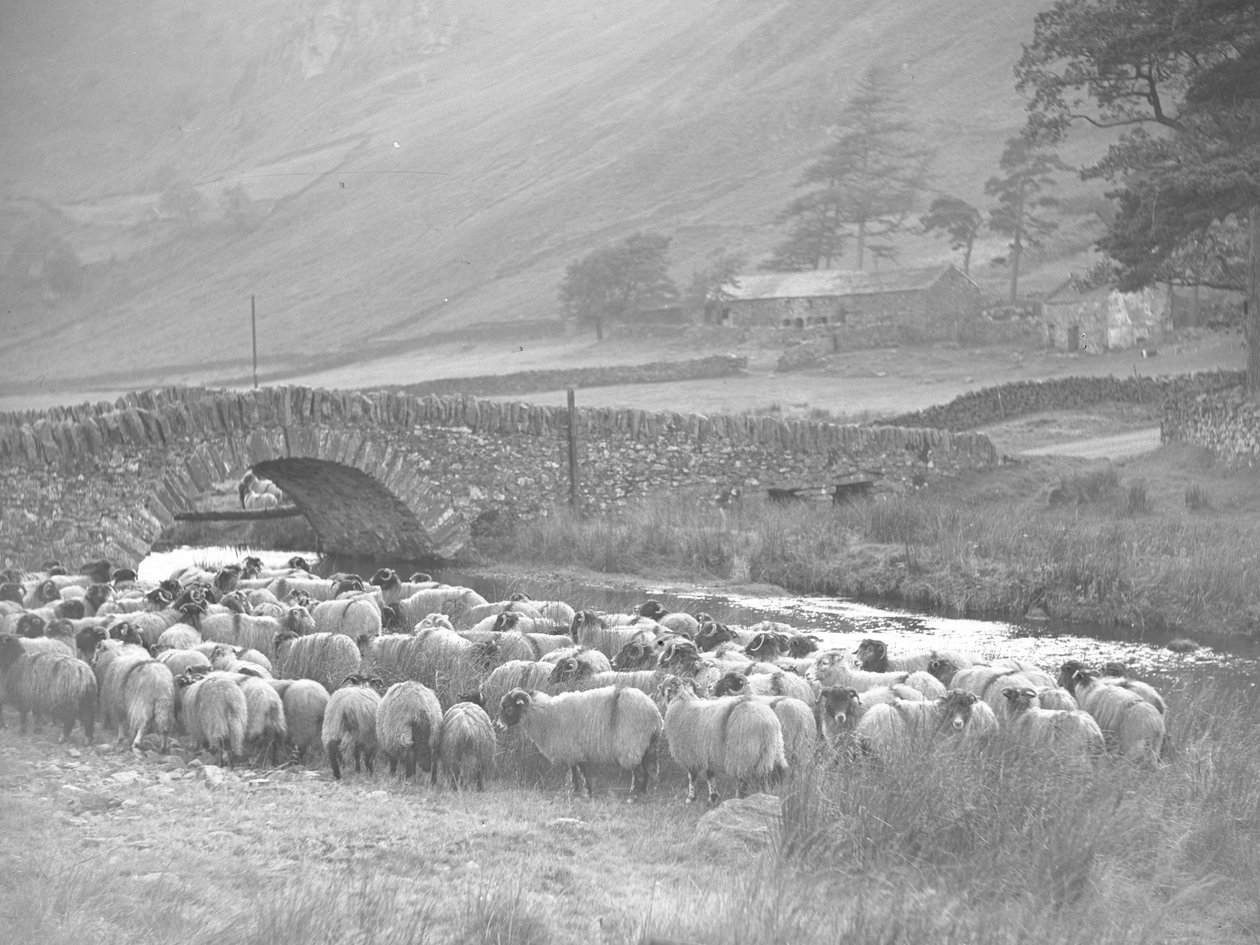 Encontro de ovelhas em frente a uma ponte de pedra sobre a água, com montes e edifícios em fundo de Joseph Hardman
