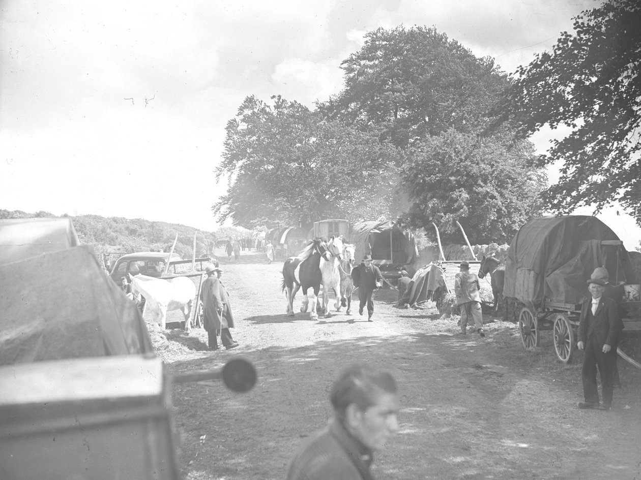 Cavalos a serem conduzidos pela estrada em Appleby com caravanas e carros nas bermas de Joseph Hardman