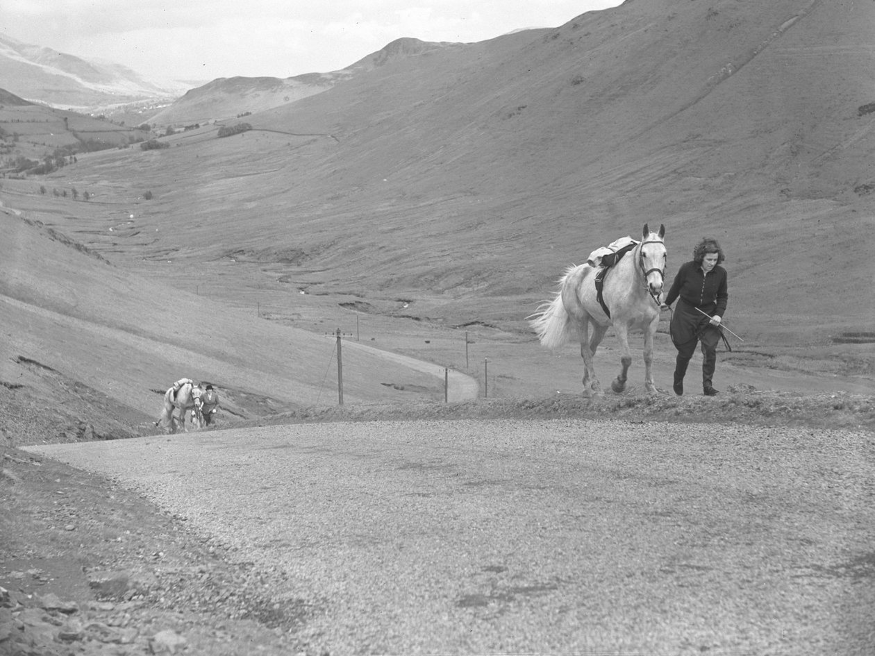 Cavalos a serem conduzidos por cavaleiros que desmontaram para subir a montanha de Joseph Hardman