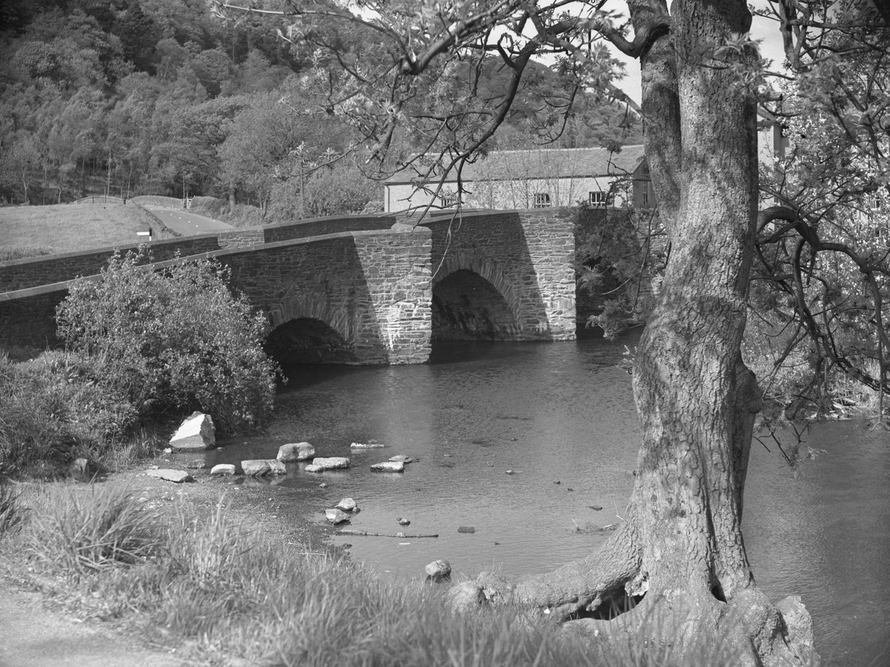 Rio e ponte em Newby Bridge de Joseph Hardman