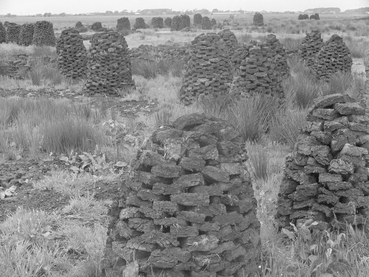 Pilhas de turfa de Joseph Hardman