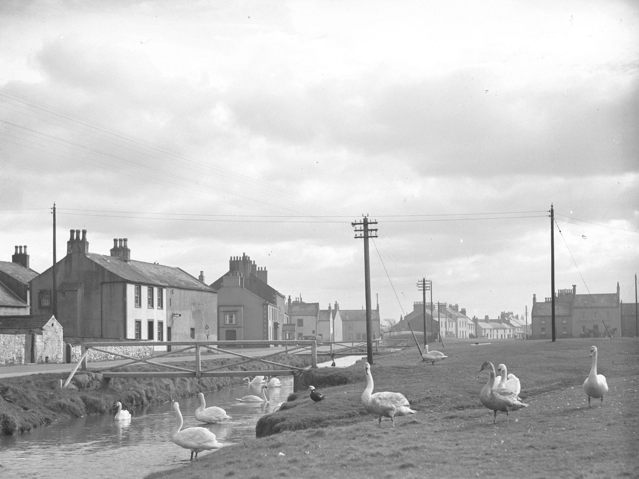 Rua em Allonby com cisnes e riacho de Joseph Hardman