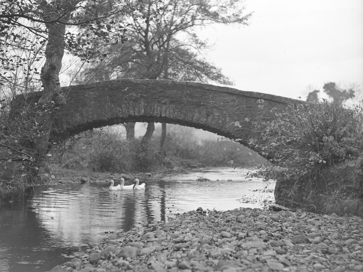 Três gansos na água sob uma ponte de pedra de Joseph Hardman