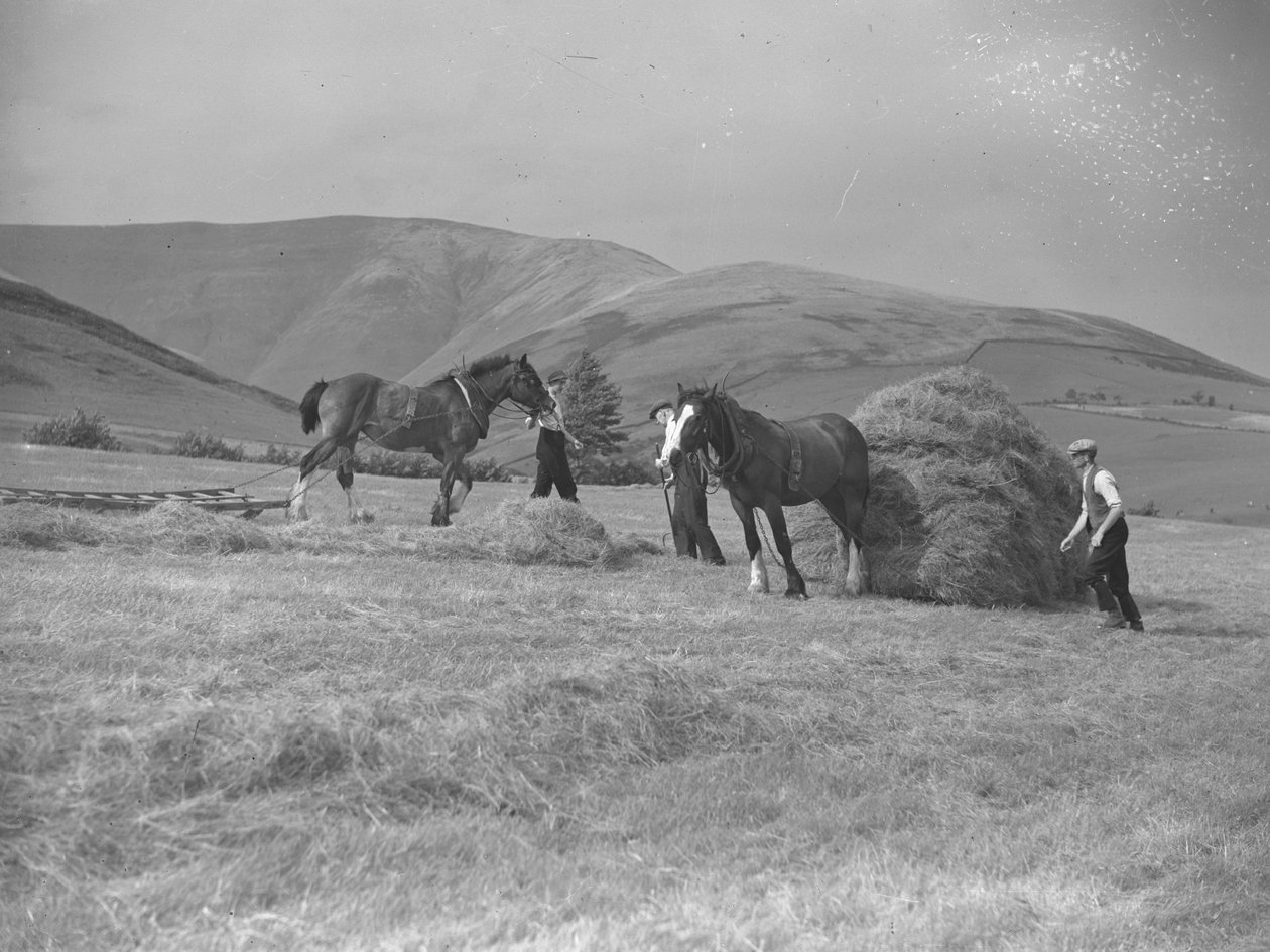 Dois cavalos a puxar trenós de Joseph Hardman