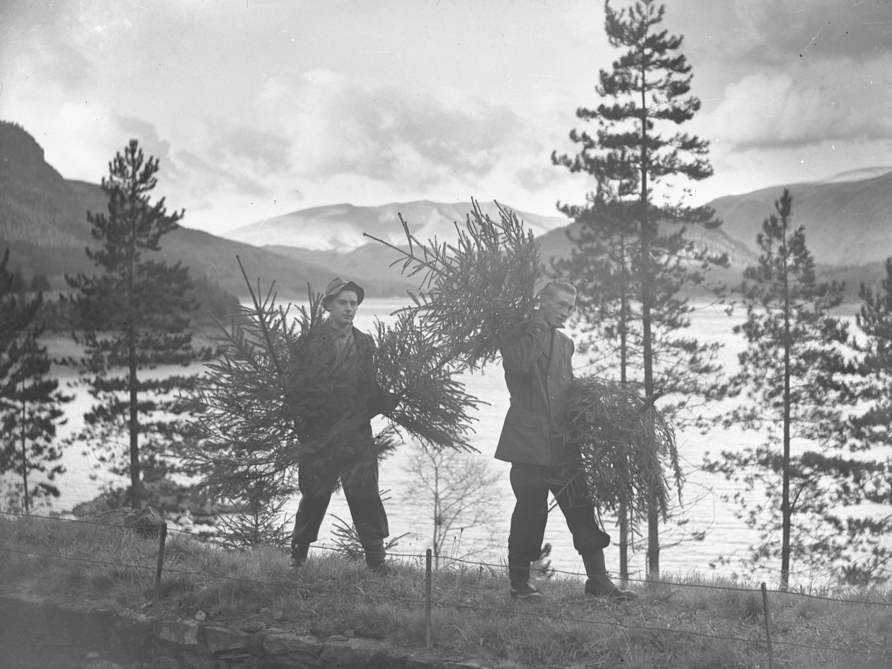 Dois jovens carregam pequenas árvores de Natal na costa de Thirlmere de Joseph Hardman