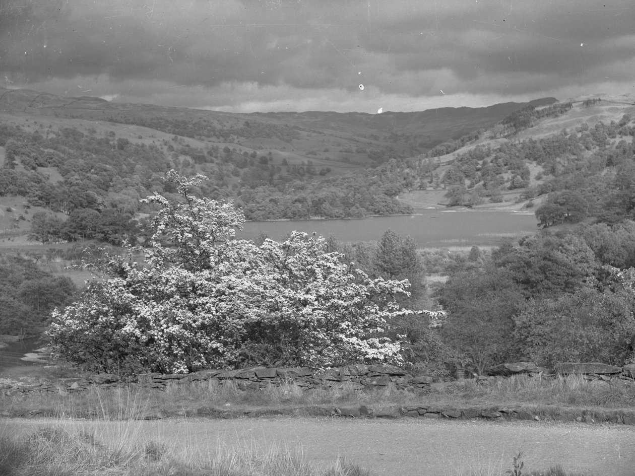 Vista sobre um lago em Rydal de Joseph Hardman