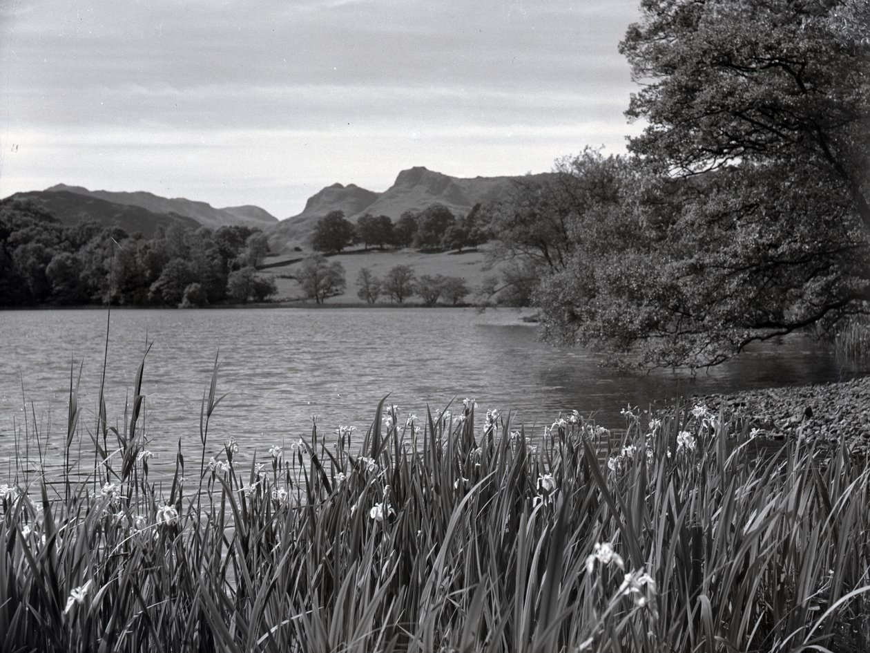 Vista para o outro lado do Loughrigg Tarn de Joseph Hardman