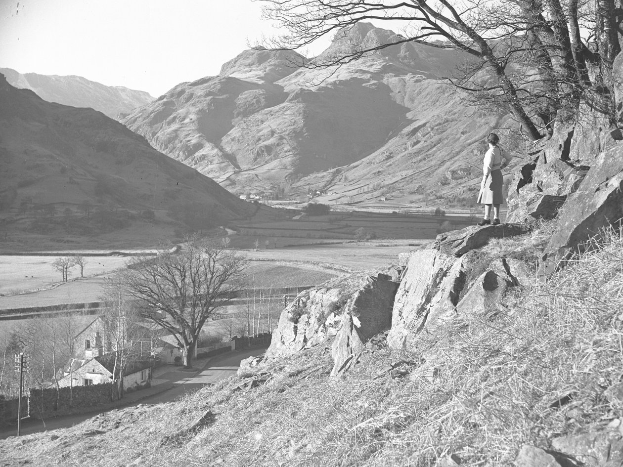 Mulher de pé sobre rochas, debaixo de uma árvore, com vista para Langdale Fells de Joseph Hardman