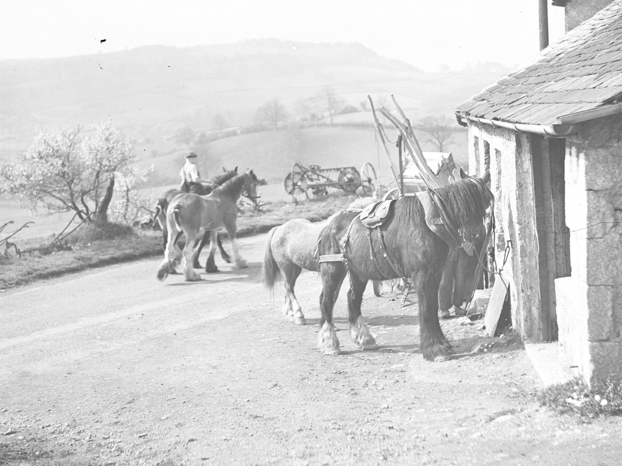 Cavalos de trabalho no exterior de Crostwaite Smithy de Joseph Hardman