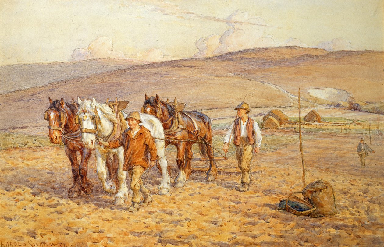 Arar de Joseph Harold Swanwick