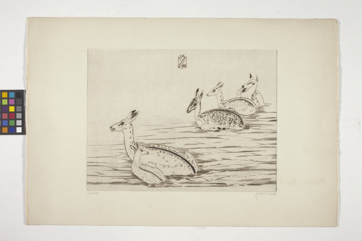 Cerfs Indochinois I (Cervo Indochinês I) (gravura em papel de nata tecida) de Joseph Hecht