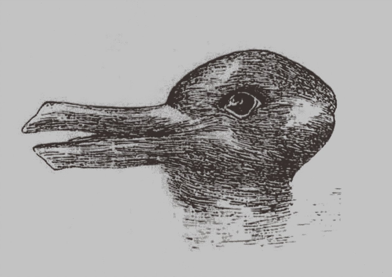 Ilusão de pato-coelho. De: Jastrow, J. O olho da mente. Popular Science Mensal, 1899 de Joseph Jastrow