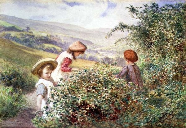 Os Escolhedores de Amora Preta de Joseph Kirkpatrick