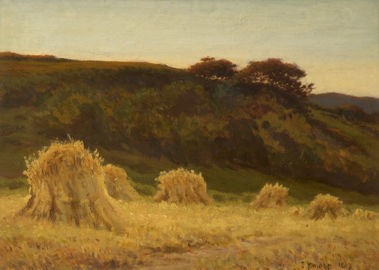 O Campo de Milho de Joseph Knight