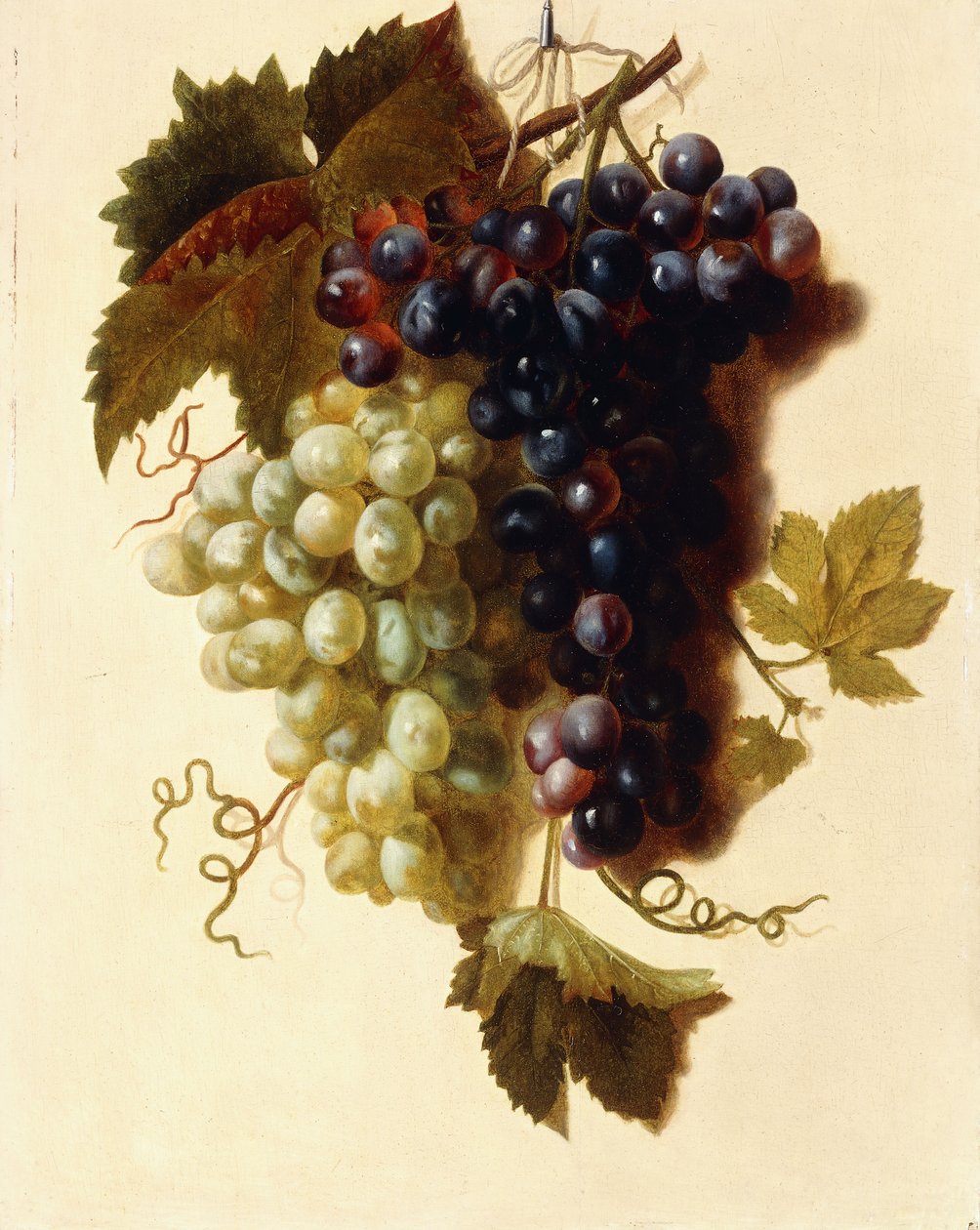 Cachos de uvas verdes e vermelhas suspensos em uma corda, c.1796 de Joseph Laurent Malaine