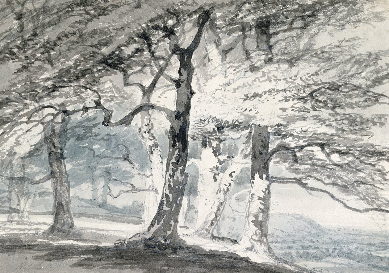 Norbury Park, Surrey (lápis e aquarela sobre papel) de Joseph Mallord William (attr.to) Turner