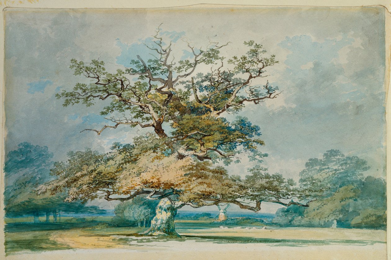 Uma paisagem com um velho carvalho de Joseph Mallord William Turner