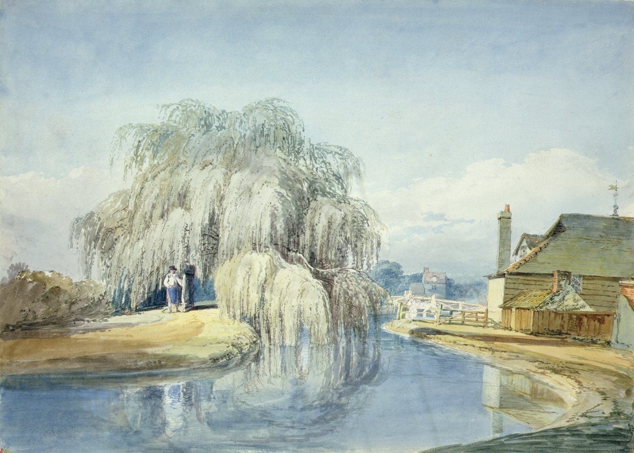 Um salgueiro chorão (aguarela sobre papel) de Joseph Mallord William Turner
