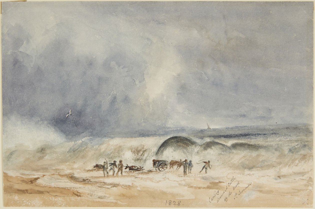 A remoção de gado afogado da praia, em St. Leonards de Joseph Mallord William Turner
