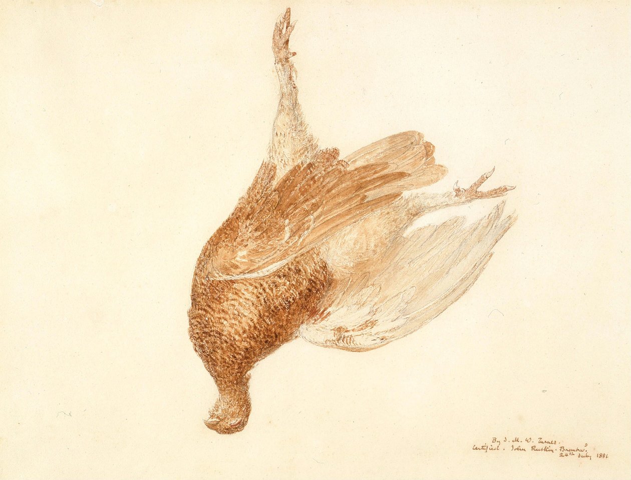 Tetraz morto de Joseph Mallord William Turner