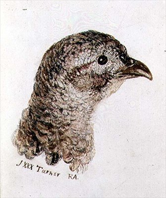 Hen Pheasant, de The Farnley Book of Birds, c.1816 (caneta e tinta e aguarela sobre papel) de Joseph Mallord William Turner