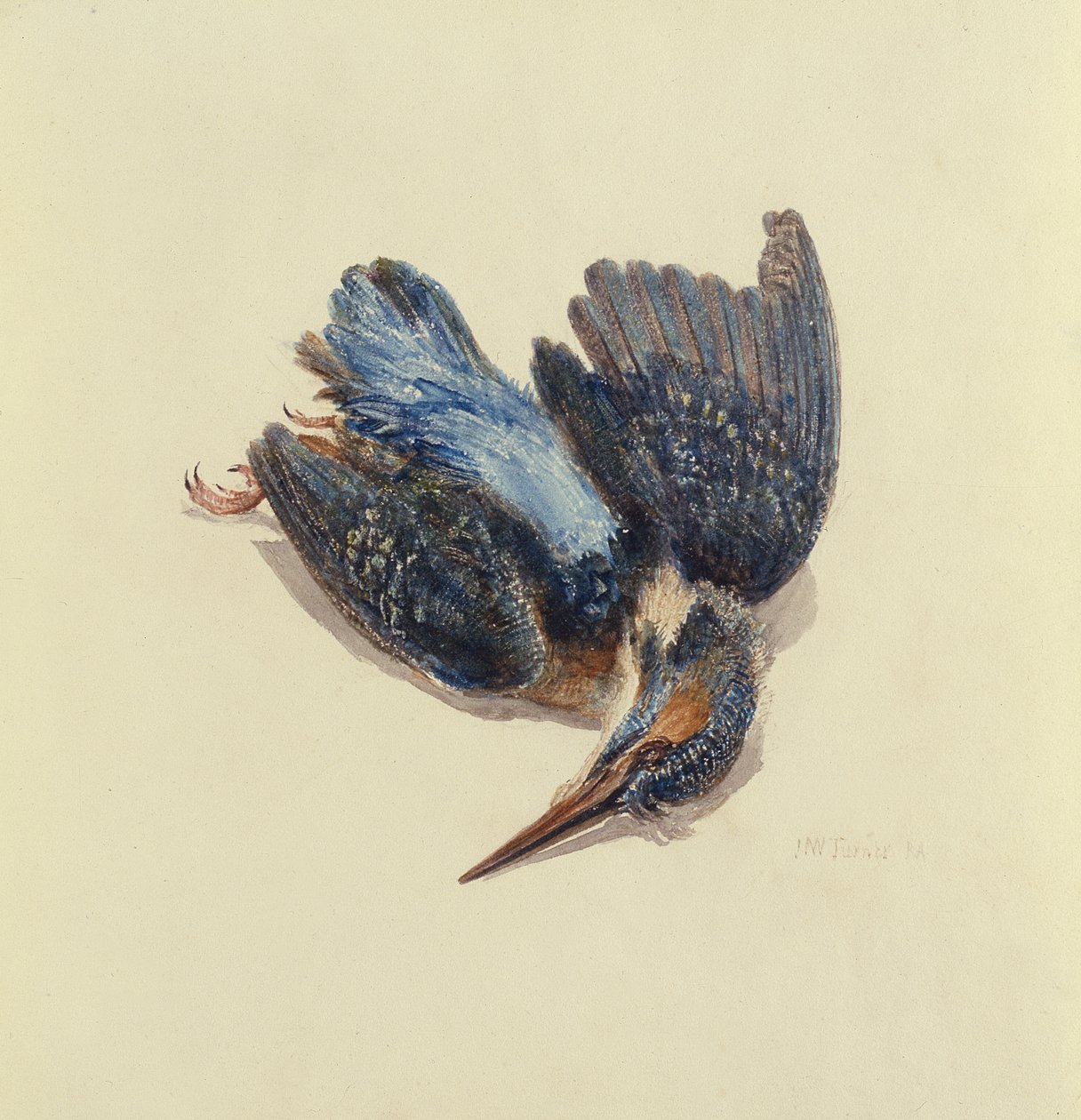 Kingfisher, de The Farnley Book of Birds, c.1816 (caneta e tinta e aguarela sobre papel) de Joseph Mallord William Turner