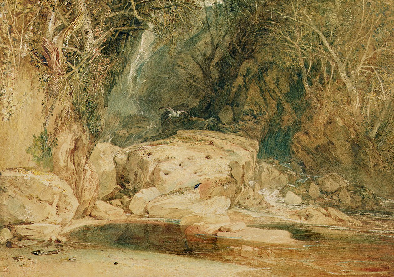 Lonely Dell, Wharfedale, c.1818 (aquarela sobre papel) de Joseph Mallord William Turner